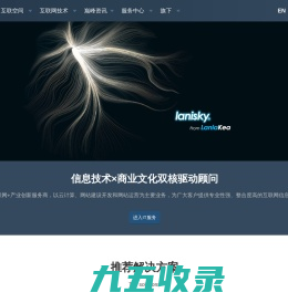 Lanisky官网 - 信息技术×商业文化双核驱动顾问