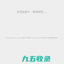 环球快报网