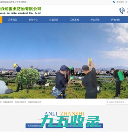 东莞白蚁防治|塘厦白蚁防治|凤岗灭白蚁公司|清溪防治白蚁公司